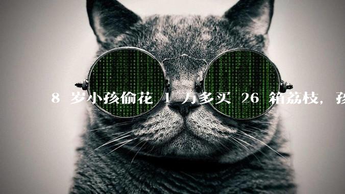 8 岁小孩偷花 1 万多买 26 箱荔枝，孩子父亲称在商品未发货时申请退款被拒，这合理吗？