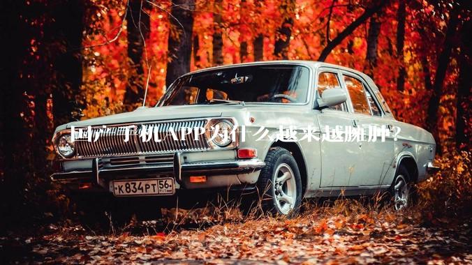 国产手机APP为什么越来越臃肿？