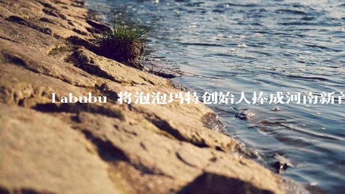 Labubu 将泡泡玛特创始人捧成河南新首富，这个玩偶为何这么赚钱？潮玩圈还有下一个「泡泡玛特」吗？