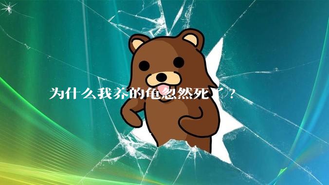 为什么我养的龟忽然死了?