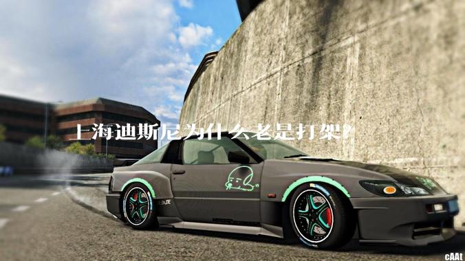 上海迪斯尼为什么老是打架？