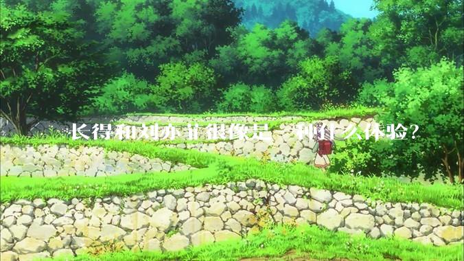 长得和刘亦菲很像是一种什么体验？